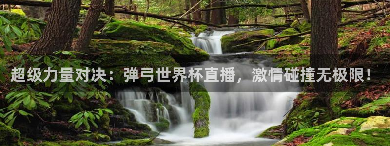世界杯直播观看：超级力量对决：弹弓世界杯直播，激情碰撞无极限！