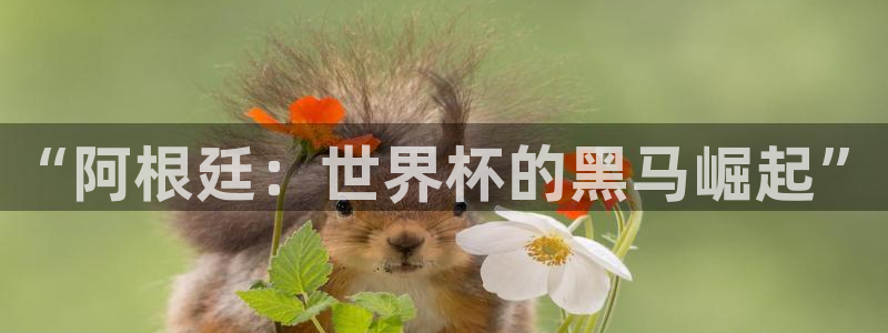 世预赛直播：“阿根廷：世界杯的黑马崛起”