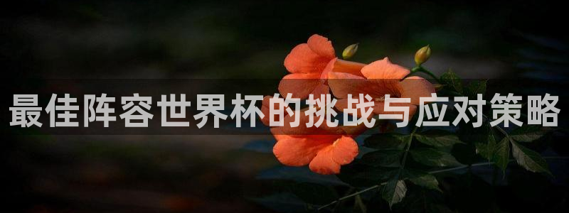 2026世界杯赛程：最佳阵容世界杯的挑战与应对策略