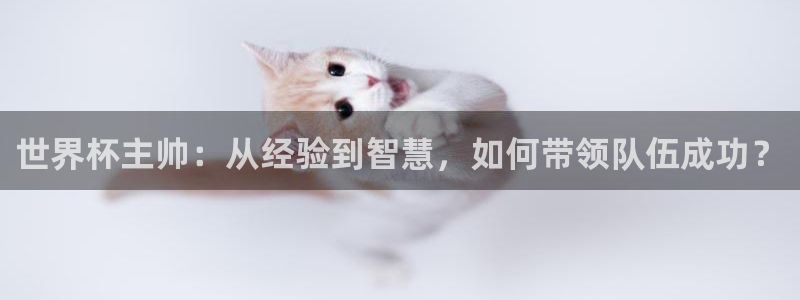 足球世预赛：世界杯主帅：从经验到智慧，如何带领队伍成功？