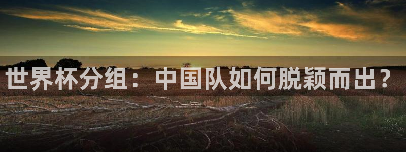 2026世界杯对阵图：世界杯分组：中国队如何脱颖而出？