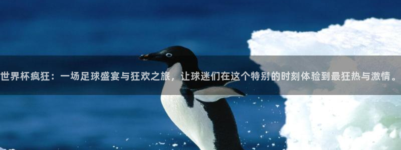 2026世界杯德国队阵容：世界杯疯狂：一场足球盛宴与狂欢之旅，让球迷们在这个特别的时刻体验到最狂热与激情。