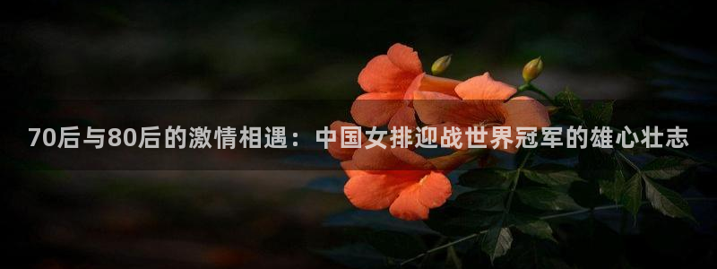 2026世界杯倒计时：70后与80后的激情相遇：中国女排迎战世界冠军的雄心壮志