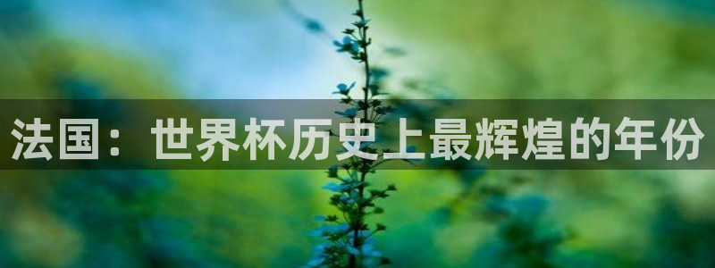 世预赛赛程表：法国：世界杯历史上最辉煌的年份