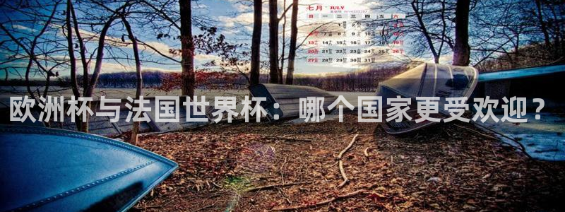 世界杯预选赛亚洲区积分榜：欧洲杯与法国世界杯：哪个国家更受欢迎？