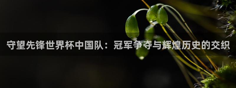 世界杯直播观看：守望先锋世界杯中国队：冠军争夺与辉煌历史的交织